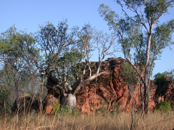 Gurrandalng Walk